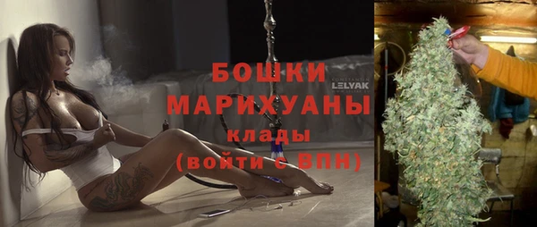 хмурый Михайловск