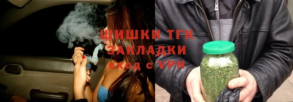 хмурый Михайловск
