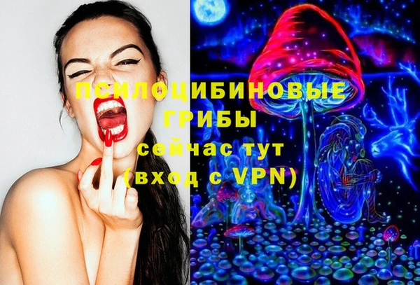 сатива Надым