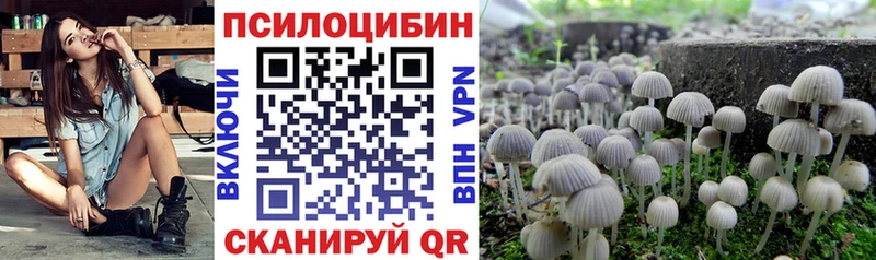 Купить где  Суоярви  Псилоцибиновые грибы Psilocybe 